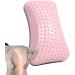 HOLDES Return Pillow | Ergonomic Lumbar Support & Posture Correction | Inflatable Lower Back Support Pillow - Pink with Gas Needle - Buy Online on GoSupps.com