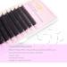 Emeda YY Type Wispies D Curl 0.07mm 2D Premade Volume Fans Eyelash Extensions - 8-14mm Mix Tray - Buy Online on GoSupps.com