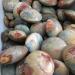 Gems for Decoration 1pcs Natural Ocean Polychrome Jasper Round Palm for Crystal Natural Stones and Minerals - Buy Online on GoSupps.com