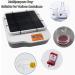 Buy HHCCTEO Digital Orbital Shakers - Multi-Purpose Laboratory Swing Oscillator with Adjustable Speed & Time Function - International Shipping Available - Buy Online on GoSupps.com