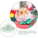 SEWOART Small Pet Ceramic Toilet Ceramic Pet Toilet Hamster Potty Cat Litter Boxes Pet Potty Rabbit Toilet Small Pet Cage Supply Indoor Bunny Potty Tray Dog Toilet Indoor Bunny Pet Toilet 24x18.5cm Light Green - Buy Online on GoSupps.com