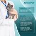 AmeizPet Anti Hairball Treats for Cats - Crunchy Hairball Cat Biscuits 65g - Buy Online on GoSupps.com
