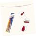 GANAZONO 6 Pcs Pet Toothbrush Toothpaste Super Bristles Toothbrush Kitten Toothbrush Dog Big Head Toothbrush - Buy Online on GoSupps.com