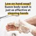 Buy Suave Men Body Wash Citrus & Sage - Energizing Clean Scent 15 oz - Buy Online on GoSupps.com