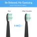 10 Pack Replacement Heads for Fairywill Electric Toothbrushes - Compatible with FW-507/508/551/D1/D3/D7/D8/FW908/FW910/917/949/958/959/FW610/FW659/FW719 - 10 Count - Buy Online on GoSupps.com