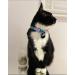Kittyrama Reflective Cat Charm - Safety Cat Tag for High Visibility, Waterproof, Fits All Collars - Blue Ninja Style - Buy Online on GoSupps.com