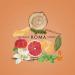 Laura Biagiotti ROMA EDT SPRAY 6.8 OZ - Buy Online on GoSupps.com