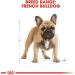Royal Canin French Bulldog Adult Dry Dog Food 9kg Variety 9 kg (Pack of 1) - Buy Online on GoSupps.com