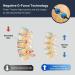Fisher Traction Back Pain & Sciatica Relief Device | Lumbar Traction for Pinched Nerves & Disc Bulges | Mobile Spine Decompression | Under 230 lbs - Buy Online on GoSupps.com