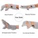Durable Right Hand Wrist Protector - Practical Brace to Reduce Discomfort & Injuries | International Shipping - Buy Online on GoSupps.com