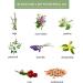 Sedbuwza Vetiver Essential Oil - 100% Pure Organic Aromatherapy Gift Oil for Diffuser, Humidifier, Soap, Candle, Perfume - Buy Online on GoSupps.com