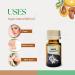 Roots & Above Argan Essential Oil 0.34 fl oz/10 ml Pure Natural Cold Pressed Oils for Face Skin Care Nails Hair Conditioner Shampoo Lotions Soap Making Soothing & Moisturizing DIY use Argan Oil - Buy Online on GoSupps.com