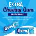 Extra Chewing Gum 10 x Sugar Free Mix Flavours Bulk Box - Peppermint, Watermelon, Strawberry, Apple, and more | VR Angle - Buy Online on GoSupps.com