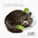 Shop Catit Wellness Center for Cats - Multi-Coloured 1 Pack | International Shipping Available - Buy Online on GoSupps.com