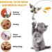 DONGKER 8pcs Cat Rod Replacement Feathers Interactive Cat Replacement Feathers With Bell for Cat Wand Toys Chasing Toys - Buy Online on GoSupps.com