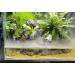 LANDEN Aquarium Sand - Natural Fine Grain Cosmetic Sand for Aquarium Landscaping - 11 lbs (4.2L) - Ideal for Freshwater, Saltwater, and Blackwater Tanks - Buy Online on GoSupps.com
