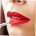 Healeved 6pcs Lip Brush Lip Balm Brush Lipstick Brush Makeup Lipstick Applicator Eyeshadow Applicator Lip Balm Applicator Silicone Lip Mask Brush Eyeshadow Makeup Brush Lip Makeup Pen - Buy Online on GoSupps.com