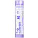 Thuja Occidentalis 30ch Boiron Homeopathic Medicine