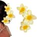 WDNIGLP Flower Hair Barrettes Hair Accessory Unique Hair Barrettes Large Flower Acrylic Hair Clip Sweet Hairpins Hair Claw 1# - Buy Online on GoSupps.com