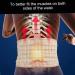 Sadkyer Back Decompression Belt - Lumbar Support Waist Bandage for 29-49 Inch Waist | Spinal Traction Extender | Perfect Gift for Back Pain Relief - Buy Online on GoSupps.com