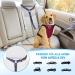 Slowton Dog Car Belt - 2-Piece Adjustable Headrest Safety Harness with Reflective Rubber Strap for Secure Travel - Buy Online on GoSupps.com