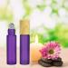 10pcs Purple Frosted Glass Essential Oil Roller Bottles - 10ml Empty Perfume Bottles with Stainless Steel Roller Balls and Wood Grain Cap (Purple) - Buy Online on GoSupps.com