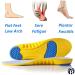 Premium Memory Foam Sports Insoles | Cushioned Arch Support & Shock Absorption Gel Pads | Buy Now for Ultimate Comfort - Buy Online on GoSupps.com