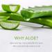 Avarelle Acne Cover Patch - 40 Clear Patches for Spot Treatment - Buy Online on GoSupps.com