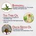 NutriGlow Onion Hair Conditioner - Natural Ingredients for Damaged Hair | Best Onion Conditioner for Healthy Hair - Buy Online on GoSupps.com