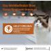 Wellness Core Adult Original Cat Food - Grain-Free High Meat Turkey & Chicken 300g Pack - Buy Online on GoSupps.com