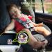 Daina Baby Nezuko On Board Reflective Bumper Sticker- Kid Safety Slow Down Sign Decal (1 pc) - Buy Online on GoSupps.com