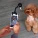 Pet Selfie Stick zosenda Flexible Dog Selfie Stick Rod Cat Photo Toy Accessories Multi-functional Smartphone Attachment Clip Treat Holder Dog Bath Toy (Black) - Buy Online on GoSupps.com