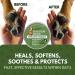 Dog Paw & Nose Balm 60ml - All Season Protection with Organic Beeswax & Coconut Oil - Buy Online on GoSupps.com