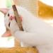 Buy Tao Pipe Catnip Sticks - 6 Interactive Matatabi Chewing Toys for Dental Care & Fresh Breath - Safe Silver Vine Sticks for Cats - Buy Online on GoSupps.com