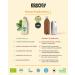 Kombuchery Mate 12x330ml Bio-Kombucha | Vegan Low-Calorie Healthy Fermented Tea Drink - Buy Online on GoSupps.com