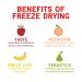 Natures Turn Freeze-Dried Strawberry Crisps - School Lunch or On-The-Go Snack - Non GMO, Gluten Free, No Sugar Added - 6-Pack 0.53oz - Buy Online on GoSupps.com