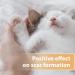 Felisept Wound Gel for Cats 20ml - Cat wound treatment - Cat antibiotics for infections - Cat Wound Ointment - Cat Wound Gel for cleaning and care of wound areas - Buy Online on GoSupps.com