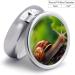 Wildlife Animal Snail Print Round Pill Box - 3 Compartment Decorative Portable Pill Organizer - Metal Pocket Medicine Storage - Buy Online on GoSupps.com