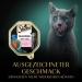 Premium Sheba Delicacy in Jelly - High-Quality Salmon Cat Wet Food - 22 x 85g - International Shipping Available - Buy Online on GoSupps.com