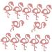 Ciieeo 48 Pcs Flamingo Lollipop Decor Hawaii Lollipop Decor Hawaii Decor Candy Holder Party Hawaiian Candy Lollipop Party Accessories Lollipop Craft Cactus Pink Props - Buy Online on GoSupps.com