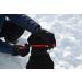 K9 Bridle - to stop your dog pulling (Medium Black) Medium Black - Buy Online on GoSupps.com