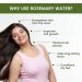 Rosemary Water for Hair Regrowth - 100ml | Natural Solution for Thicker Hair - Buy Online on GoSupps.com