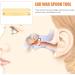 GOOHOCHY 1set Ear Wax Removal Tool Dual- Earpicks for Ear Cleaning Design for Home Use Reusable Convenient - Buy Online on GoSupps.com