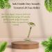 Jade Roller & Gua Sha Set - 3-Piece Facial & Body Massage Tools for Glowing Skin - Buy Online on GoSupps.com