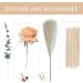 Buy Hossian Black Glass Diffuser Bottle Set 3 Pieces 150ml Perfect for DIY Fragrance & Replacement Reed Diffuser Sets - International Shipping - Buy Online on GoSupps.com