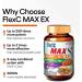 LABO Nutrition FlexC MAX EX with Turmeric Curcumin C3 Reduct 95% Tetrahydrocurcuminoids Bioperine Boswellia Extract & Devil s Claw Effective Antioxidation Joint & Body Discomfort Relief x2 - Buy Online on GoSupps.com