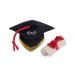P.L.A.Y. PET LIFESTYLE AND YOU - Plush toy dog back to school collection - graduation hat & scroll/graduation hat & badge More Colorful Gepast