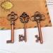 30PCS Assorted Antique Skeleton Keys - Vintage Steampunk Classic Collection in Copper - Buy Online on GoSupps.com