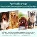 Fellkamm & Desangangelkamm: Premium Cat & Dog Combi Comb for Removing Knotted Hair - 31 Teeth Grooming Tool for Effortless Pet Care - Buy Online on GoSupps.com