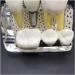 4x Enlarged Teeth Model for Dental Education | Implant & Crown Simulation | Ideal for Teaching & Demonstration - Buy Online on GoSupps.com